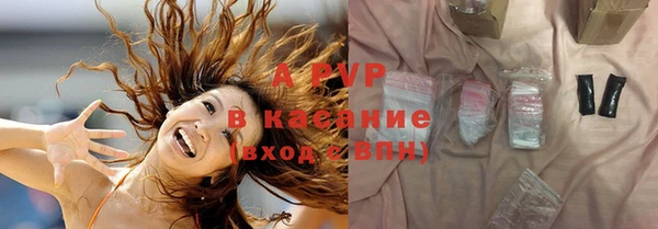 гидра Зеленокумск