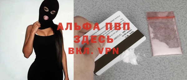 гидра Зеленокумск