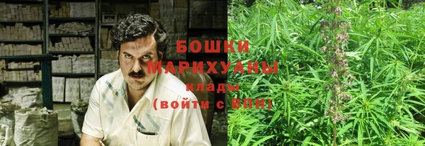 гидра Зеленокумск