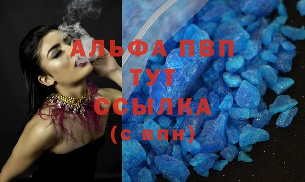 гидра Зеленокумск
