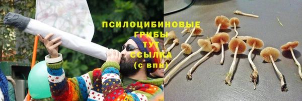 мет Иннополис