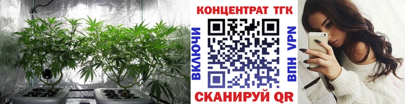Купить  Зеленодольск  Дистиллят ТГК THC oil 