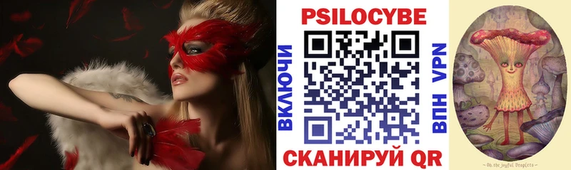 Купить где  Зеленодольск  Псилоцибиновые грибы MAGIC MUSHROOMS 